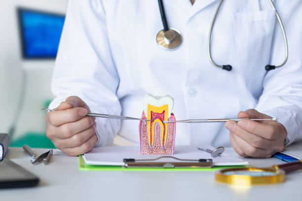 , AL Emergency Dental Service Company